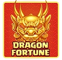 Dragon Fortune slot game