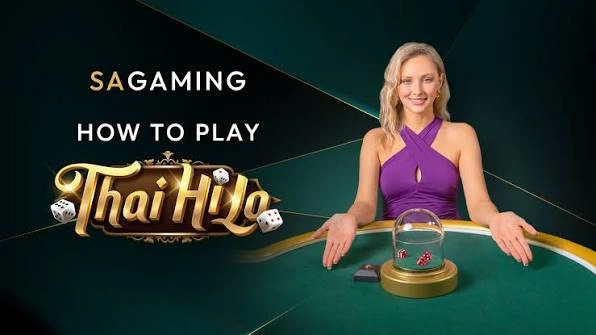 Winbox Sexy Thai HiLo live casino game