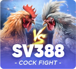 Winbox SV388 cock fight provider