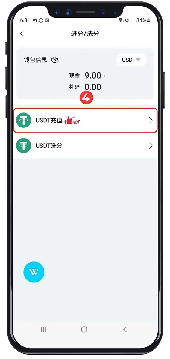 Winbox USDT Deposit Step 4 showing USDT deposit option