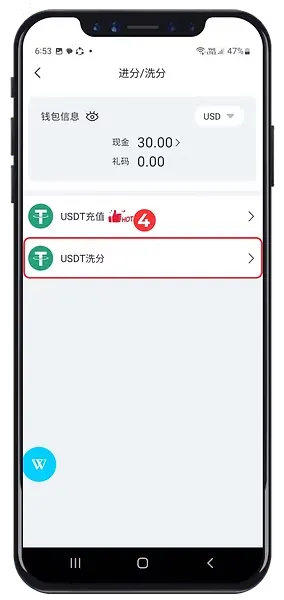Winbox USDT Withdrawal Step 4 showing USDT withdrawal option