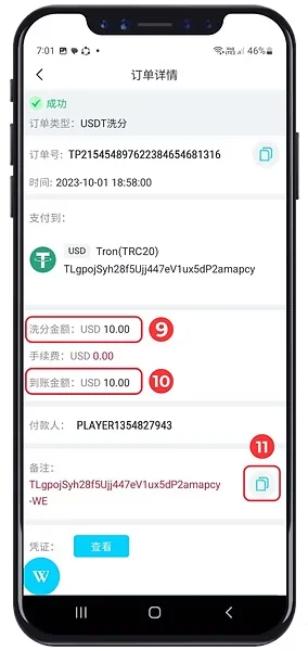 Winbox USDT Withdrawal Step 9 to 11 showing completed USDT withdrawal details