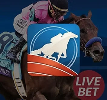 RCB988 horse racing live betting on Winbox