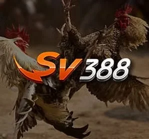 SV388 cockfighting provider available through Winbox